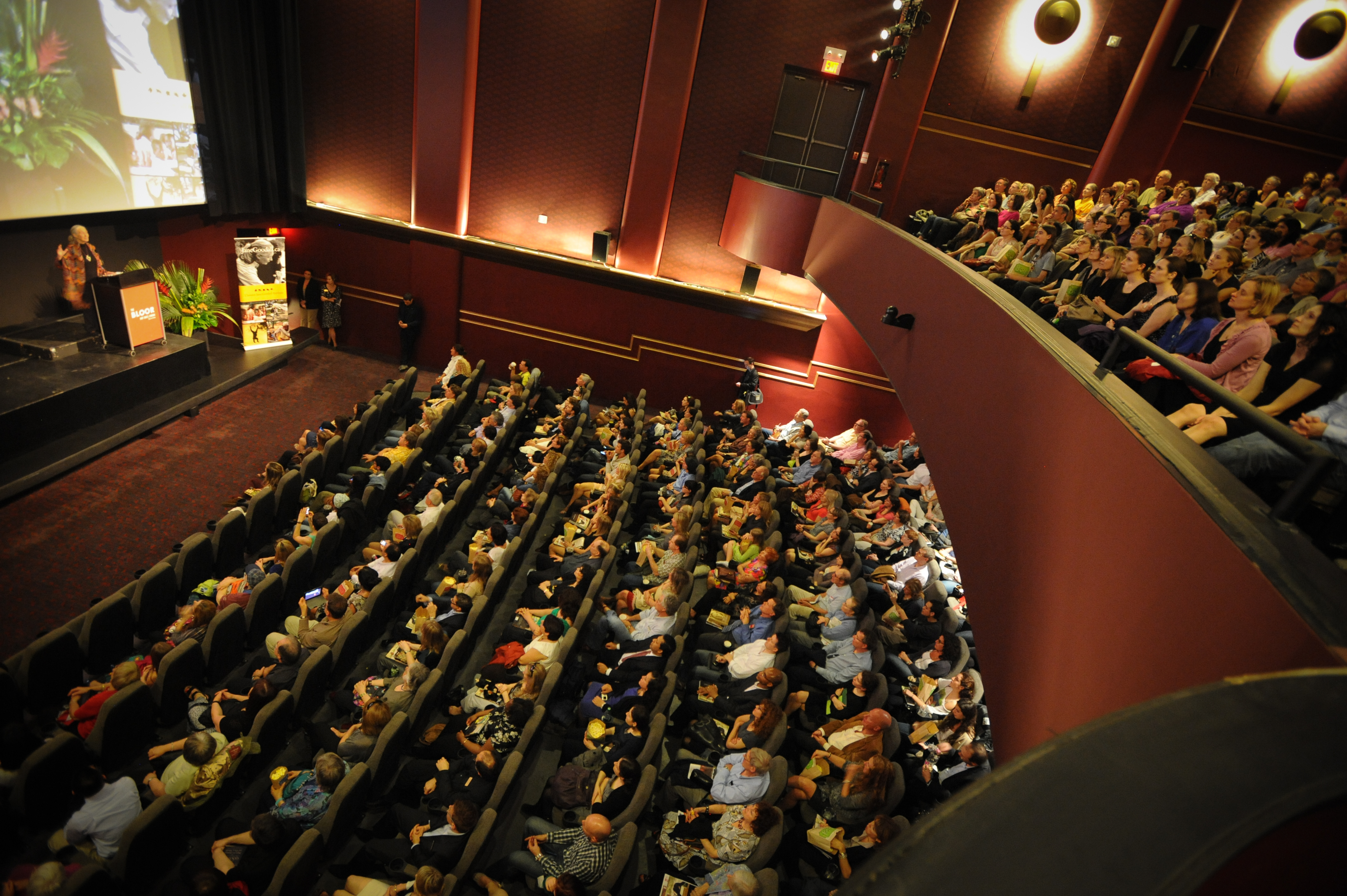 Audience at Hot Docs Cinema